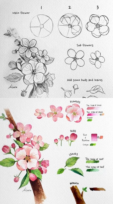 flowers1 Step-by-step guide to drawing and painting flowers with leaves and buds; includes sketches and watercolor illustrations. | Sky Rye Design Watercolor Apple Blossoms, Flower Sketches Watercolor, Cherry Blossom How To Draw, Graphic Design Sketches, How To Draw Cherry Blossoms, How To Draw A Flower, How To Draw Flowers Step By Step, Pink Flower Drawing, Easy To Draw Flowers