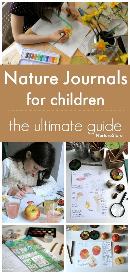 Nature Learning, Nature Based Learning, Homeschool Nature Study, Homeschool Nature, Nature Journals, Diy Nature, Nature Education, Nature Studies, Nature Journaling