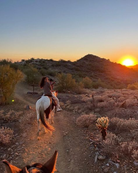 @stephbohrer on instagram Horse Girl Aesthetic, Steph Bohrer, Wolf Aesthetic, Peter Wolf, Horse Riding Aesthetic, Western Life, Horse Aesthetic, Horse Ranch, Western Aesthetic