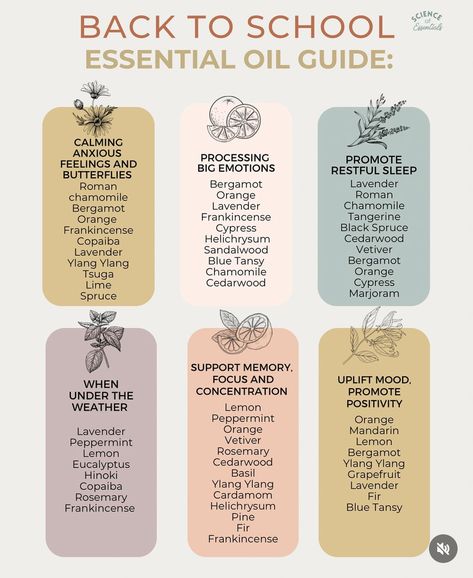 Essential Oils Doterra, Essential Oil Combinations, Essential Oil Education, Essential Oil Remedy, Do Terra, Essential Oils Guide, Natural Recipes, Oil Remedies, Essential Oils Health