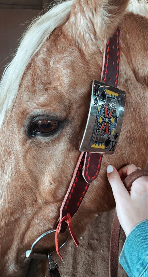 Belt Style Headstall, Cute Western Tack Sets, Horse Headstalls, Pretty Horse Tack, Western Horse Tack Turquoise, Cute Horse Tack, Bling Tack Sets, Western Tack Sets, Horse Tack Western