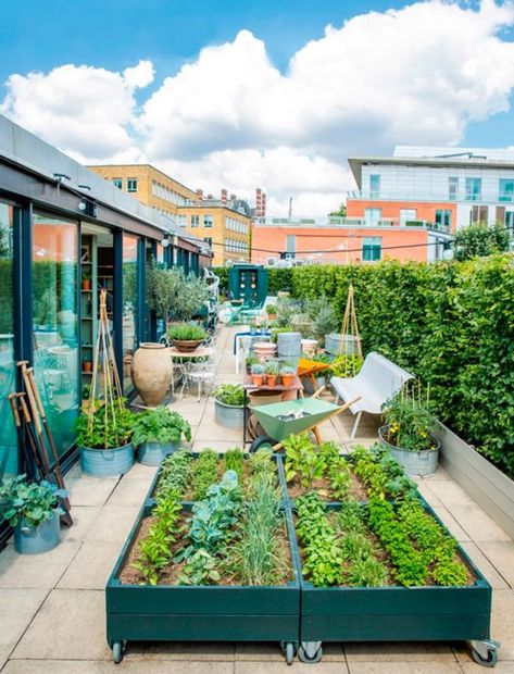 Urban Retreats: 10 Dreamy Rooftop Gardens | Apartment Therapy Rooftop Garden Urban, Rooftop Garden Ideas, Rooftop Ideas, Kleiner Pool Design, Fairy Doors On Trees, Flower Garden For Beginners, Fairy Garden Doors, Rooftop Gardens, Garden For Beginners