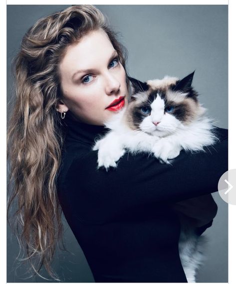 Taylor Swift Cat, Carolina Do Norte, Style Taylor Swift, Milan Kundera, Taylor Pics, Estilo Taylor Swift, Olivia Benson, Meredith Grey, Taylor Swift Hair