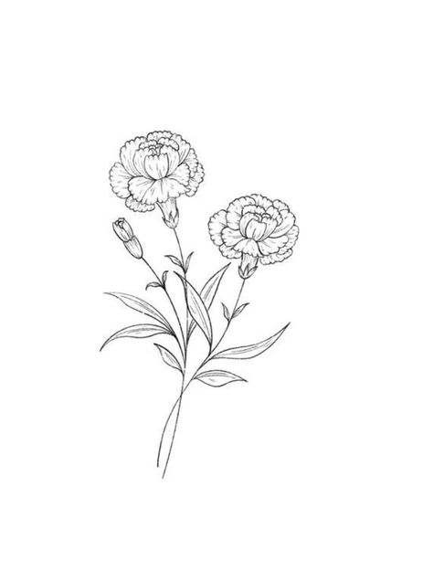 Marigold Bouquet Drawing, Marigold Fineline Tattoo, Delicate Marigold Tattoo, Realistic Carnation Tattoo, Marigold Wrap Around Tattoo, Fineline Marigold Tattoo, Carnation Flower Tattoo Stencil, Marigold Sketch Simple, Carnation Sketch Simple