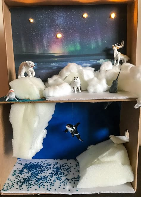 Arctic Cardboard Diorama Tundra Diorama, Volpe Artica, Habitat Diorama, Arctic Habitat, Biomes Project, Habitat Project, Diorama Kids, Ecosystems Projects, Diorama Project