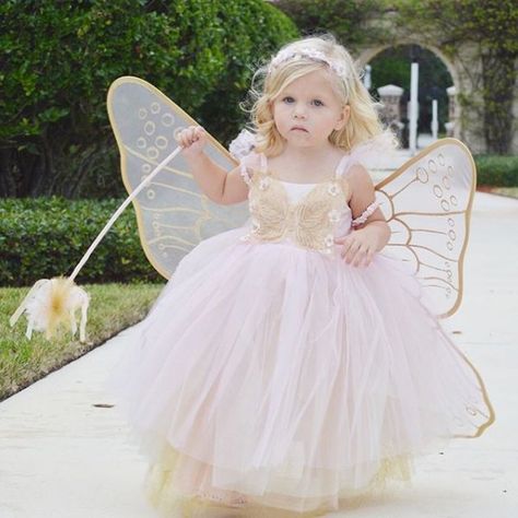 Pink Butterfly Fairy Toddler Halloween Costume | Pottery Barn Kids Toddler Fairy Costume, Baby Fairy Costume, Girls Butterfly Costume, Halloween Bday Party, Girly Costumes, Toddler Halloween Costume, Fairy Garden Birthday, Fairy Garden Birthday Party, Kids Halloween Costume