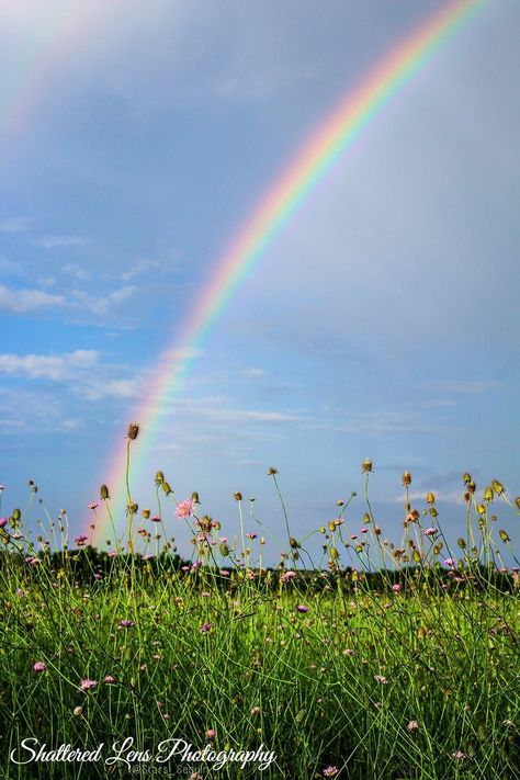 Rainbow In Nature, Rainbows Photography, Rainbow Photography Nature, God's Rainbow, Rainbow Promise, Rainbow Nature, Rainbow Pictures, Rainbow Photography, Lens Photography