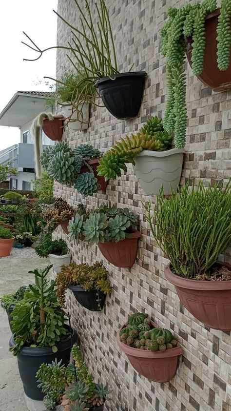 Overgrown Succulents, Room Plants Decor, Living Room Plants Decor, Hanging Indoor Plants, Succulent Wall Planter, Vertical Succulent Gardens, Plant Succulents, Garden Decoration Ideas, Porch Plants