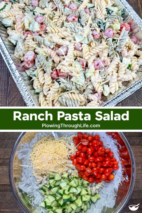 Ranch Pasta Salad For A Crowd Pasta Salad Recipes Bacon Ranch, Creamy Ranch Pasta Salad Recipes, Best Creamy Pasta Salad Recipe, Easy Ranch Pasta Salad, Pasta Salad For Potluck, Easy Sides For Large Groups, Pasta Salad Recipes With Ranch Dressing, Side Salad Recipes For Party, Make Ahead Pasta Salad For A Crowd