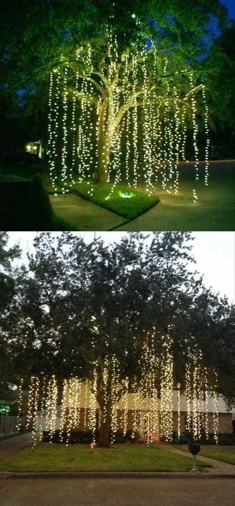 10 Fun Christmas Decorations For Your Garden Or Yard Backyard Trees, Christmas Light Installation, Lights Decoration, Outdoor Trees, Christmas Lighting, Diy Outdoor Decor, Navidad Diy, Christmas Yard, Outdoor Christmas Lights