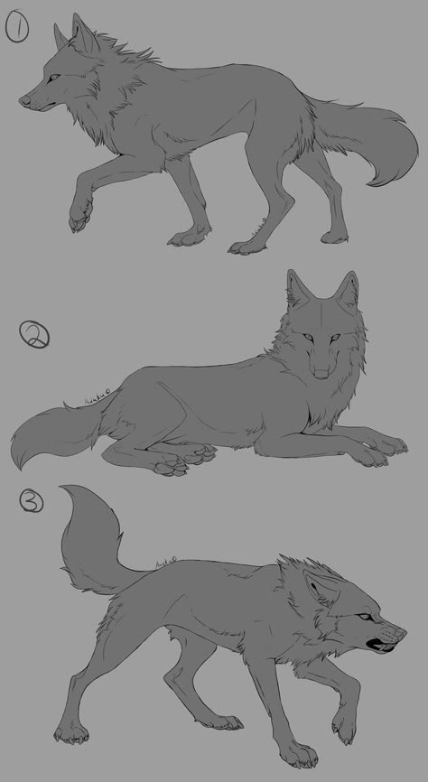 FREE Wolf Linearts by Aviaku Wolf Poses, Wolf Sketch, 강아지 그림, Wolf Drawing, Drawing Animals, Animal Anatomy, Anime Wolf, Wolf Dog, Animal Sketches