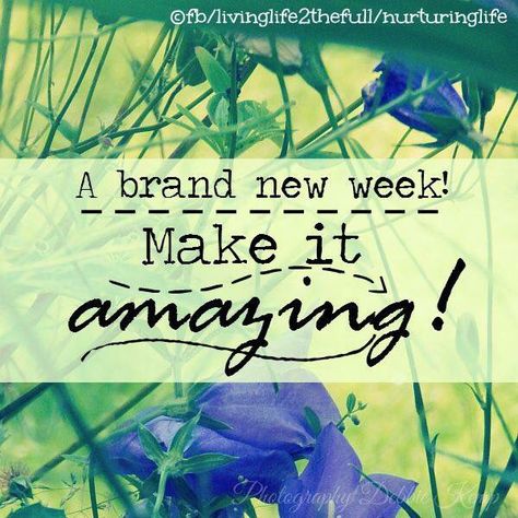 A Brand New Week Make It Amazing ! Quotes For Monday, Social Media Engagement Posts, Notes From The Universe, Happy Monday Quotes, Days Of The Week Quotes, Wallpapers Gifs, Team Quotes, Blessed Week, Monthly Quotes