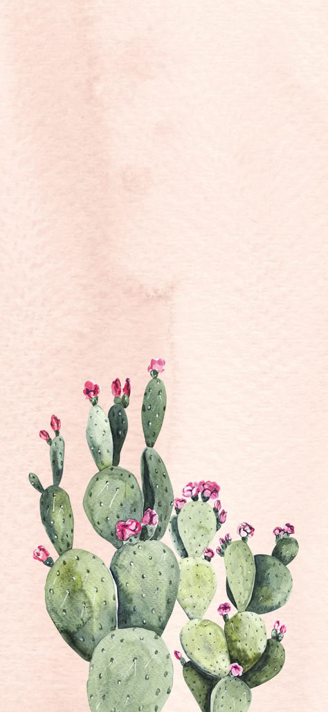 Boho Cactus Wallpaper Iphone, Love Asthetic Wallpers Iphone, Cactus Iphone Background, Succulent Iphone Wallpaper, Cute Cactus Wallpaper Iphone, Succulent Phone Wallpaper, Cactus Wallpaper Iphone Aesthetic, Western Cactus Wallpaper, Succulent Wallpaper Iphone