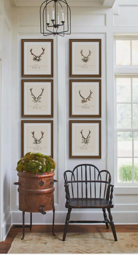 Hunting Room, Hunting Decor, Hunting Cabin, Big Game, Cabin Decor, Boy's Room, Boys Room, House Inspo, Guest Bedroom