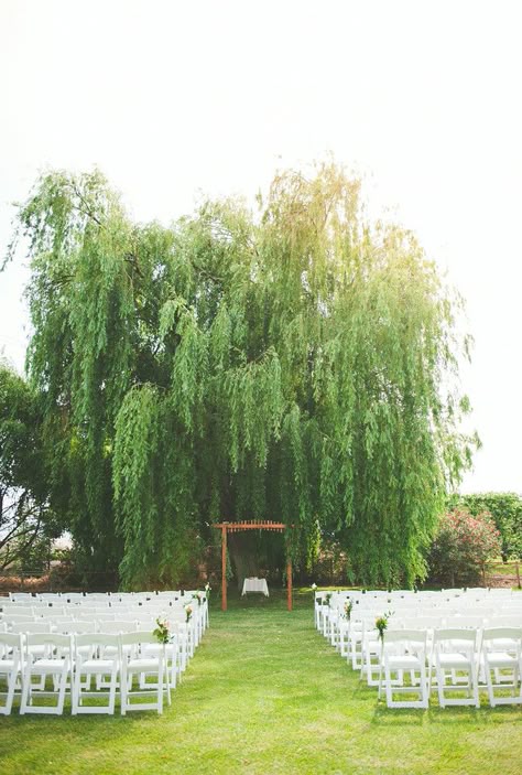 It was like this Willow tree was made to be married under :] perfectly shaped. Hand made wedding arch by my father <3 Wedding By A Tree, Wedding Arch Under Tree, Flowers On Tree Wedding, Wedding In Front Of Tree, Wedding Arch Tree, Tree Arch Wedding, Weeping Willow Wedding Decor, Tree Wedding Arch, Willow Tree Ceremony