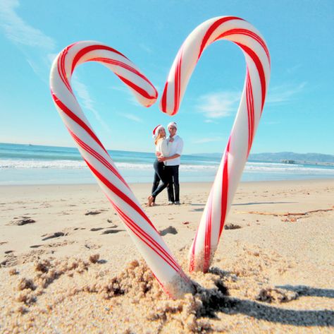 Christmas Photo On Beach, Christmas Family Photos On The Beach, Florida Christmas Family Photos, Christmas Photoshoot At The Beach, Funny Beach Christmas Photos, Xmas Family Photo Ideas Beach, Christmas Photos At The Beach, Holiday Picture Ideas Family, Christmas Pics On The Beach