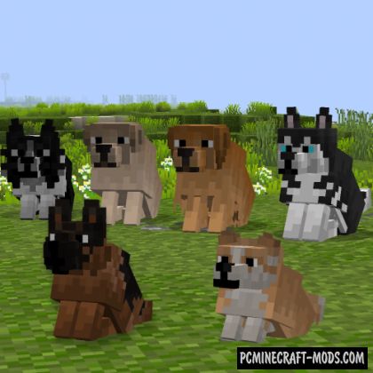 Minecraft Dog Texture Pack, Minecraft Dog Breeds, Minecraft Dog Mods, Dog Statue Minecraft, Cute Minecraft Animals, Minecraft Animal Mods, Cat Statue Minecraft, Minecraft Mobs Mod, Minecraft Dog