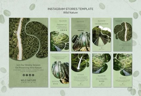 Instagram Banners, Tea Website, Brochure Design Layouts, Nature Story, Template Background, Desain Editorial, Nature Instagram, Background Template, Visual Marketing