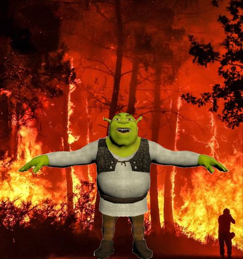 Who set the forest on fire?!!??!!?!! Fire Reaction Pic, Harmony Core, Fire Pfps, Funny Fire, Burning House, Tools Drawing, Send To Friends, Art Tools Drawing, Silly Goose