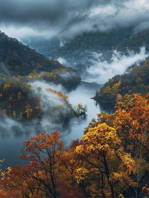 Appalachian Mountains, West Virginia Fall In Virginia, West Virginia Aesthetic, Virginia Countryside, Appalachian Gothic Aesthetic, Virginia Aesthetic, Appalachian Mountains Aesthetic, Snowshoe West Virginia, West Virginia Landscape, West Virginia Art