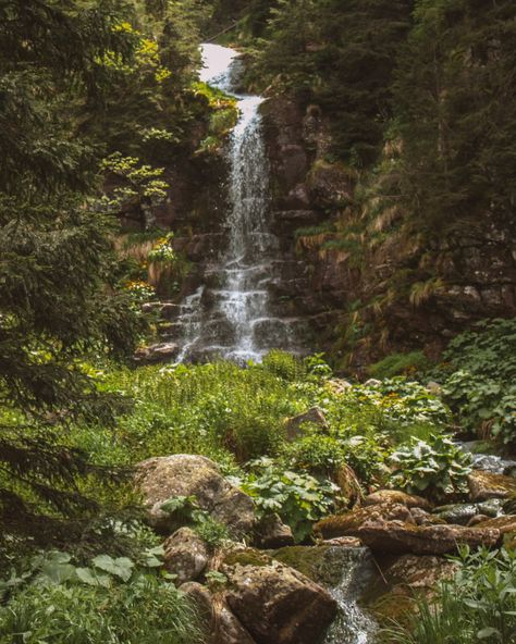 „You know, they have a special kind of peace, those mountains“, my friend Stefan said, when I told him I was gonna spend 10 days in the Stara Planina Mountains in Serbia, on the border with Bulgaria ⛰️🌳 So – what did I find? I found mountains that are still wild, still untouched. Nature that could easily be part of the next Jurassic Parc movie with views, and waterfalls, and wild rivers running over deep-red riverbeds. What I found was an area with minimal reception, with meadows full of b... Minimal Reception, Stara Planina, Untouched Nature, On The Border, Serbia, Deep Red, My Friend, Bulgaria, Travel Blog