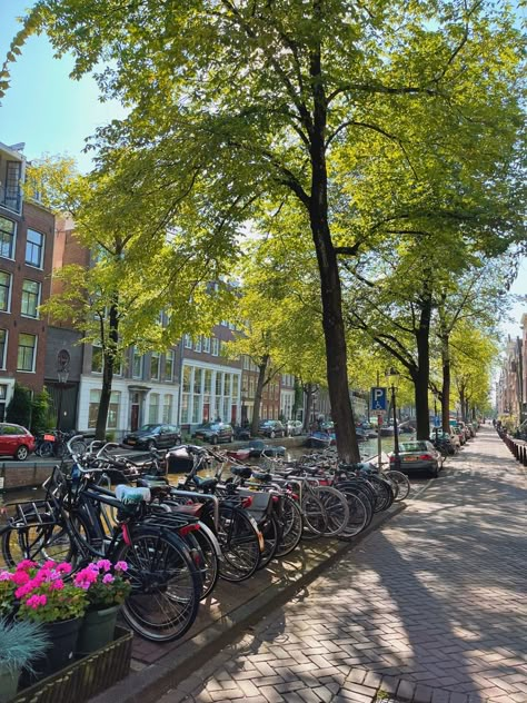 Netherlands Bike Aesthetic, Lisbon Summer, Summer In Amsterdam, Romantic Dancing, European Love, Netherlands Aesthetic, Facts About Space, Amsterdam Bike, Amsterdam Aesthetic