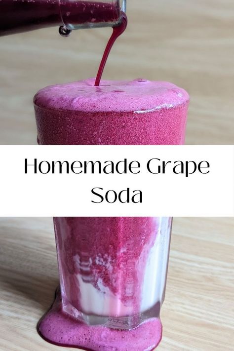 Concord Grape Juice Recipe, Grape Juice Recipe, Probiotic Food, Concord Grapes, Fermented Drinks, Grape Uses, Grape Harvest, Homemade Soda, Grape Recipes