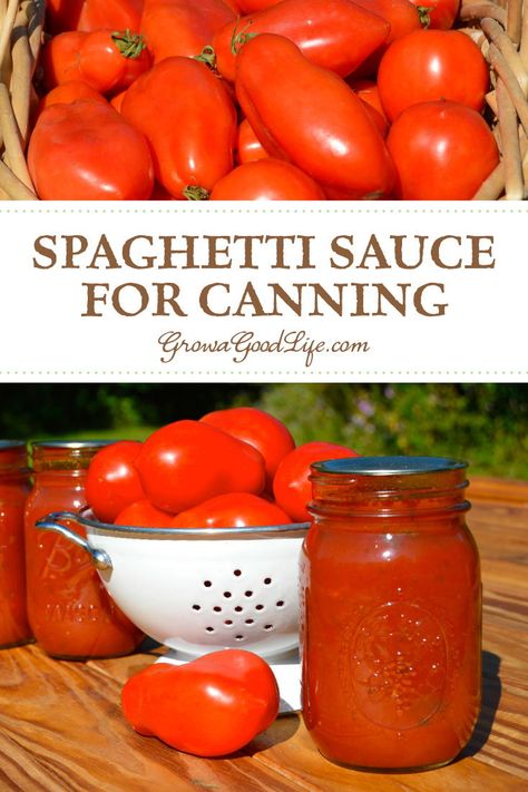 Pressure Canning Tomato Sauce Recipes, Canning Homemade Spaghetti Sauce With Fresh Tomatoes, Ball Tomato Sauce Canning Recipe, Roasted Pasta Sauce For Canning, Large Batch Spaghetti Sauce For Canning, Home Made Pasta Sauce With Fresh Tomatoes, Spaghetti Sauce From Fresh Tomatoes Canning, Can Spaghetti Sauce Canning, Easy Spaghetti Sauce Canning Recipe