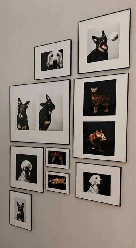 Dog Portrait Wall Decor, Dog Frames Ideas Wall Art, Pet Room Decor Ideas, Dog Photo Gallery Wall, Dog Photo Frame Ideas, Pet Collage Wall, Pet Pictures Wall, Pet Portrait Gallery Wall, Dog Photo Collage Ideas