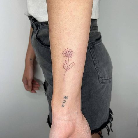 Chrysanthemum Tattoo Dainty, Flower Tattoo Chrysanthemums, Chrysanthemum Tattoo With Name, Chrysanthemum Wrist Tattoo, Chrysanthemum Small Tattoo, Crysanthemum Tattoo Tiny, Crysanthemum Tattoo Design Fine Line, Chrysanthemum Tattoo Fine Line, Small Chrysanthemum Flower Tattoo