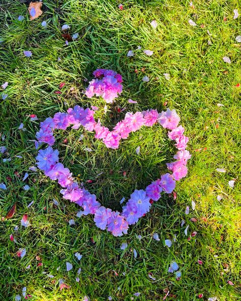 I made heart from tree flowers what i picked from the ground. Blooming Heart, Neon Girl, Heart In Nature, Tree Flowers, Hearts And Flowers, Phone Decor, Scenery Nature, Inspo Pics, Beautiful Scenery Nature