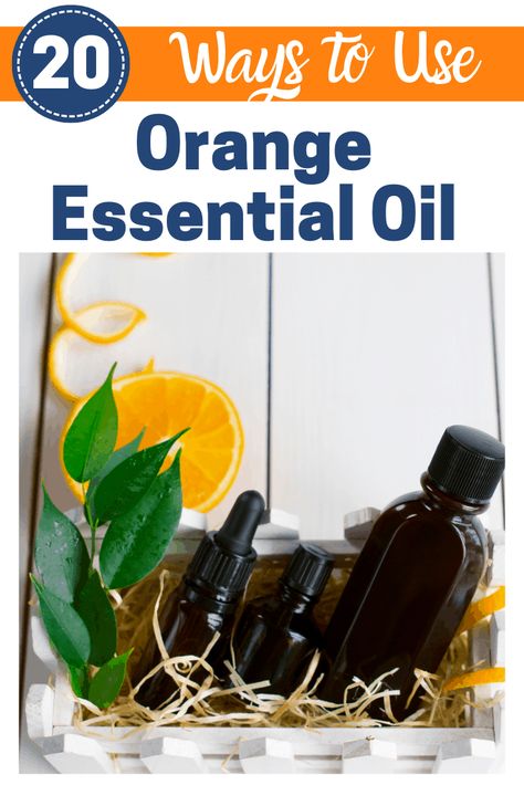 Orange Essential Oil is used for everything from facial toner to pest repellent! Here are my favorite 20 Orange Essential Oil Uses! Plus 10 reasons you need to start using essential oils today! Orange Oil Uses, Orange Essential Oil Uses, Homemade Furniture Polish, Oil In Water, Homemade Body Lotion, Diy Body Scrubs, Water For Health, Ways To Use Essential Oils, Natural Cleaner