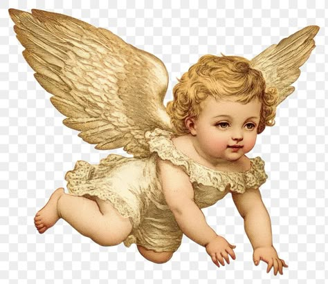 V Stickers, Angels Clipart, Cool Christmas Ideas, Png Angel, Collage Animation, Cherub Art, Cherub Baby, Angel Illustration, Person Art