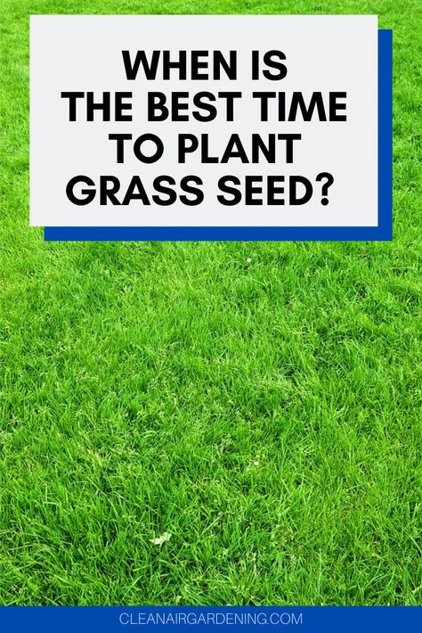 How To Get Grass To Grow, How To Grow Grass Fast, No Grass Front Yard Lawn Alternative, How To Seed Grass Lawn, How To Grow Grass From Dirt Backyards, Best Way To Grow Grass Fast, Planting Grass Seed Fall, Planting Grass Seed Summer, Best Grass Seed Lawn