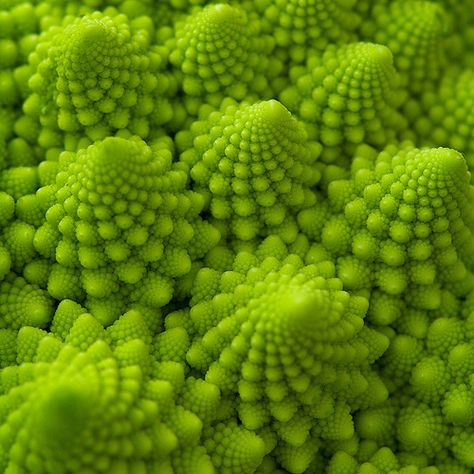 Fractal vegetable. More Natural Spirals. Energy in Form! Gem Corn, Romanesco Broccoli, Fractals In Nature, Spirals In Nature, Macro Photography Tips, Photography Ideas At Home, Geometry In Nature, Creation Art, Fractal Patterns