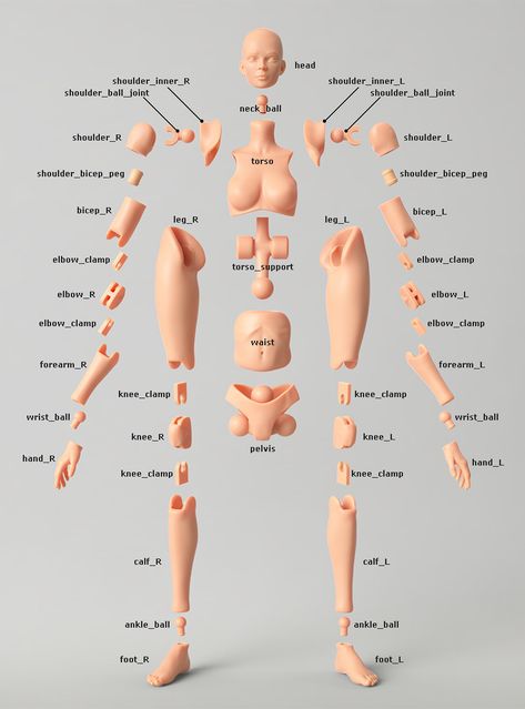 Moodboard Theme, Anatomy Practice, Sculpting Tutorials, Doll Making Tutorials, Clay Sculpting, Homemade Dolls, Polymer Clay Dolls, Art Dolls Handmade, Female Figure