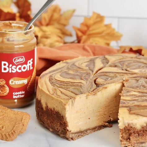 Biscoff Pumpkin Cheesecake - Sweet Girl Treats Biscoff Pumpkin Cheesecake Bars, Pumpkin Cheesecake Bites Recipes, Cookie Butter Pumpkin Cheesecake, Pumpkin Biscoff Cheesecake, Pumpkin Cheesecake With Biscoff Crust, Pumpkin Cheesecake Biscoff Crust, Biscoff Pumpkin Pie, Pumpkin Cookie Butter Cheesecake, Biscoff Pumpkin Cheesecake