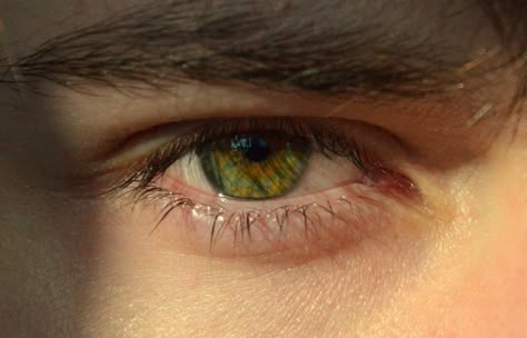 Boys With Green Eyes, Guys With Green Eyes, Olive Green Eyes, Green Brown Eyes, Dark Green Eyes, Black Hair Green Eyes, Jade Eyes, Brown Eye Boys, Brown Hair Boy