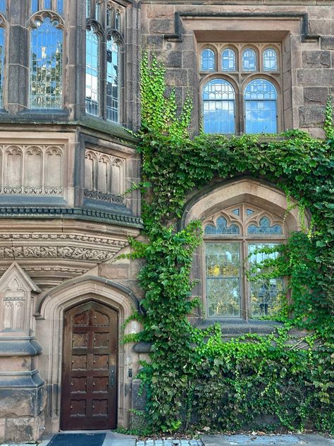 #university #princeton #school #usa #new #newyorkcity Private University Aesthetic, Prinston University, Princeton Aesthetic, Princeton University Aesthetic, Ilvermorny Aesthetic, College Gothic, Princeton University Campus, Dream Studies, Dream University