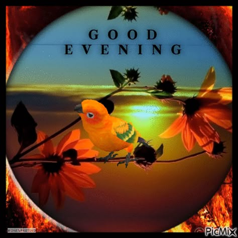 Good Evening Enjoy Your Evening Gif, Good Evening Gif, Evening Gif, Enjoy Your Evening, Evening Wishes, Good Evening Messages, Good Evening Wishes, Friends Font, Beautiful Greeting Cards