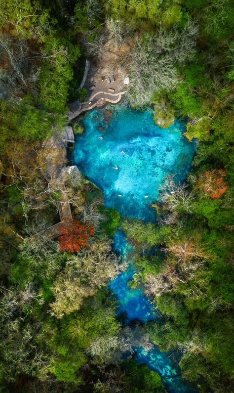 Tips for Ichetucknee Springs State Park: A Natural Lazy River in Florida - Florida Trippers Ichetucknee Springs State Park, Falling Waters State Park Florida, Lake Louisa State Park Florida, Ichetucknee Springs Florida, Southern Getaways, Ruskin Florida, Crystal River Florida, Disorder Quotes, Florida Parks