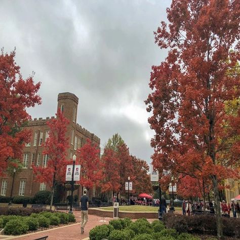 University Of North Alabama, U Of Alabama, Bama Aesthetic, University Of Alabama Aesthetic, University Of Alabama Campus, Alabama Aesthetic, Alabama Football Game, University Alabama, Tennessee College