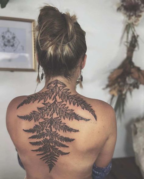 25 Beautiful Spine Tattoos - Body Artifact Tattoo Down Spine, Beautiful Spine Tattoos, Hand Tattoos For Men, Spine Tattoo Ideas, Fern Tattoo, Abstract Tattoo Designs, Z Tattoo, Mushroom Tattoos, Red Ink Tattoos