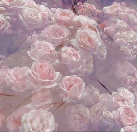 🌸   #flowers #pink #purple #soft #aesthetic #freetoedit Fairy Soft Aesthetic, Flora Flowers, Plants Are Friends, Pastel Roses, Fairy Aesthetic, Rose Pale, No Rain, Soft Aesthetic, Aesthetic Pink