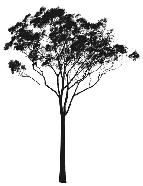 Gum Tree Silhouette, Eucalyptus Tree Illustration, Eucalyptus Tree Tattoo, Tree Silloutes, Tree Line Drawing, Tree Silhouette Tattoo, Silhouette Trees, Trees Illustration, Australian Eucalyptus