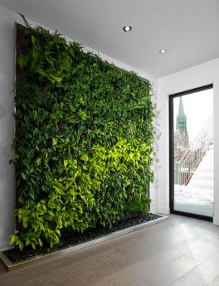 Indoor plant wall Green Wall Garden, Living Wall Indoor, Vertikal Garden, Garden Wall Designs, Indoor Plant Wall, Vertical Garden Indoor, Vertical Garden Design, Garage Furniture, Brick Interior