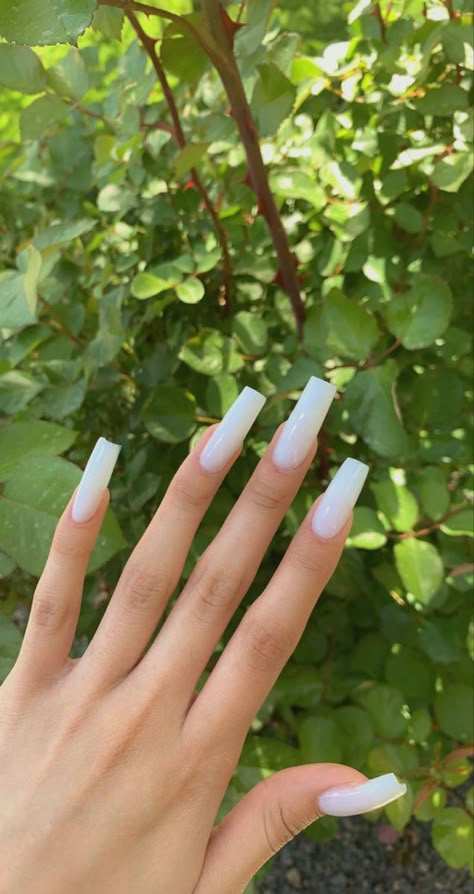 White Acrylic Nails Light White Acrylic Nails, Long Square Acrylic Nails Milky White, Simple White Nails Coffin, White Acrylic Nails Coffin Glossy, Long Square Milky White Nails, Plain White Gel Nails, White Nail Coffin Designs, Nails White Plain, White Acyrilics Nails Coffin