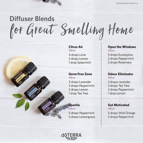 Make Your House Smell Amazing, Essential Oil Perfumes Recipes, Doterra Diffuser Blends, Essential Oil Combinations, Doterra Essential Oils Recipes, Essential Oil Diffuser Blends Recipes, Young Living Essential Oils Recipes, Essential Oils Guide, Essential Oils Cleaning