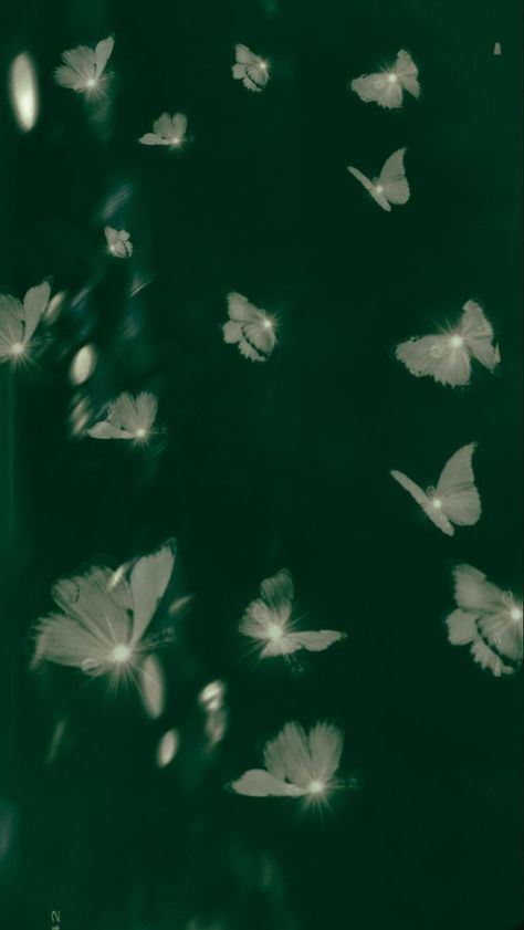 St Patrick's Day Wallpaper, Green Vibe, Day Wallpaper, Emerald Isle, St Patrick, Dark Green, Butterflies, Green, Design