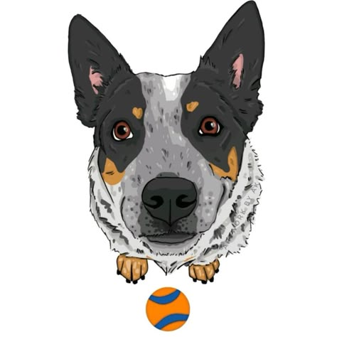 Shadow Riders, Cattle Dogs Rule, Pusheen Cute, Blue Heeler Dogs, Felt Animal Patterns, Mom Art, Dog Logo, Dog Rules, Blue Heeler